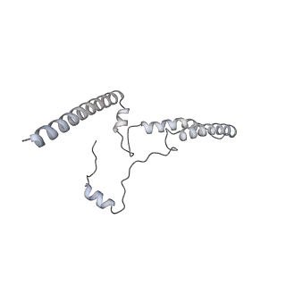 34403_8gzu_T5_v1-0
Cryo-EM structure of Tetrahymena thermophila respiratory Megacomplex MC (IV2+I+III2+II)2