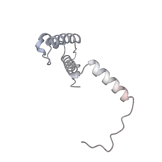 34403_8gzu_T6_v1-0
Cryo-EM structure of Tetrahymena thermophila respiratory Megacomplex MC (IV2+I+III2+II)2