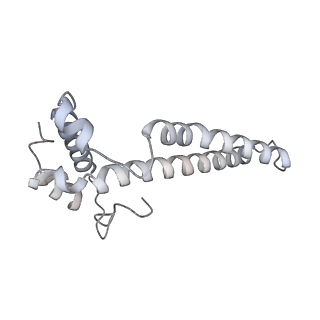 34403_8gzu_T7_v1-0
Cryo-EM structure of Tetrahymena thermophila respiratory Megacomplex MC (IV2+I+III2+II)2