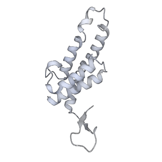 34403_8gzu_T9_v1-0
Cryo-EM structure of Tetrahymena thermophila respiratory Megacomplex MC (IV2+I+III2+II)2