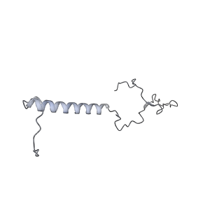 34403_8gzu_TB_v1-0
Cryo-EM structure of Tetrahymena thermophila respiratory Megacomplex MC (IV2+I+III2+II)2