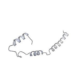 34403_8gzu_TD_v1-0
Cryo-EM structure of Tetrahymena thermophila respiratory Megacomplex MC (IV2+I+III2+II)2