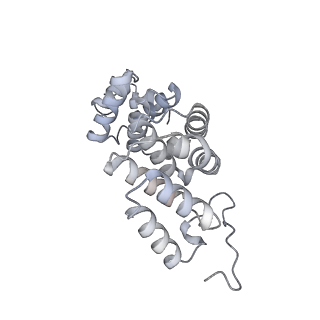 34403_8gzu_TF_v1-0
Cryo-EM structure of Tetrahymena thermophila respiratory Megacomplex MC (IV2+I+III2+II)2