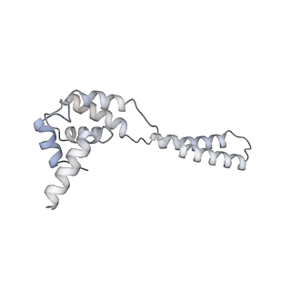 34403_8gzu_TG_v1-0
Cryo-EM structure of Tetrahymena thermophila respiratory Megacomplex MC (IV2+I+III2+II)2