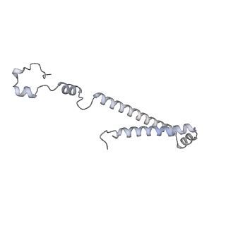 34403_8gzu_TH_v1-0
Cryo-EM structure of Tetrahymena thermophila respiratory Megacomplex MC (IV2+I+III2+II)2