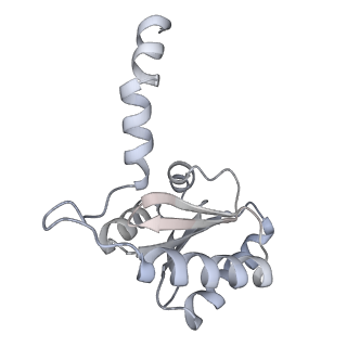 34403_8gzu_TX_v1-0
Cryo-EM structure of Tetrahymena thermophila respiratory Megacomplex MC (IV2+I+III2+II)2