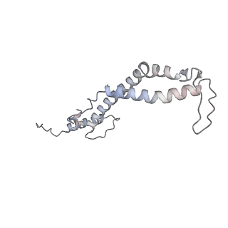 34403_8gzu_T_v1-0
Cryo-EM structure of Tetrahymena thermophila respiratory Megacomplex MC (IV2+I+III2+II)2