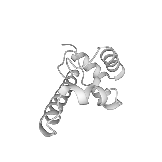 34403_8gzu_U1_v1-0
Cryo-EM structure of Tetrahymena thermophila respiratory Megacomplex MC (IV2+I+III2+II)2