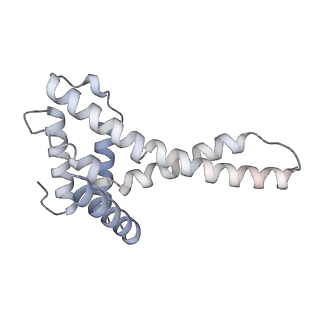 34403_8gzu_U_v1-0
Cryo-EM structure of Tetrahymena thermophila respiratory Megacomplex MC (IV2+I+III2+II)2