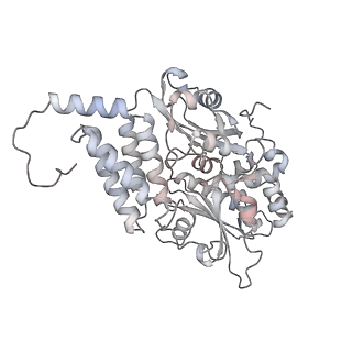 34403_8gzu_V1_v1-0
Cryo-EM structure of Tetrahymena thermophila respiratory Megacomplex MC (IV2+I+III2+II)2