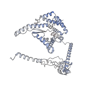 34403_8gzu_VB_v1-0
Cryo-EM structure of Tetrahymena thermophila respiratory Megacomplex MC (IV2+I+III2+II)2