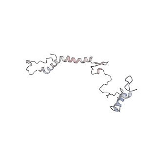 34403_8gzu_V_v1-0
Cryo-EM structure of Tetrahymena thermophila respiratory Megacomplex MC (IV2+I+III2+II)2
