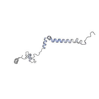 34403_8gzu_W_v1-0
Cryo-EM structure of Tetrahymena thermophila respiratory Megacomplex MC (IV2+I+III2+II)2