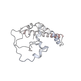 34403_8gzu_X1_v1-0
Cryo-EM structure of Tetrahymena thermophila respiratory Megacomplex MC (IV2+I+III2+II)2