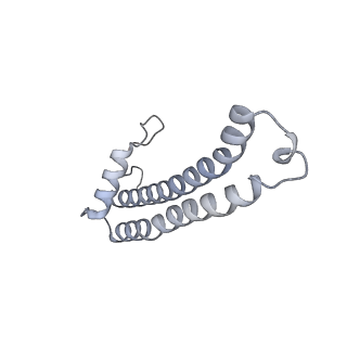 34403_8gzu_X_v1-0
Cryo-EM structure of Tetrahymena thermophila respiratory Megacomplex MC (IV2+I+III2+II)2