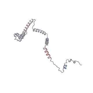 34403_8gzu_Y5_v1-0
Cryo-EM structure of Tetrahymena thermophila respiratory Megacomplex MC (IV2+I+III2+II)2