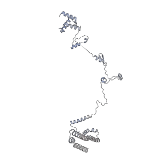 34403_8gzu_Y7_v1-0
Cryo-EM structure of Tetrahymena thermophila respiratory Megacomplex MC (IV2+I+III2+II)2