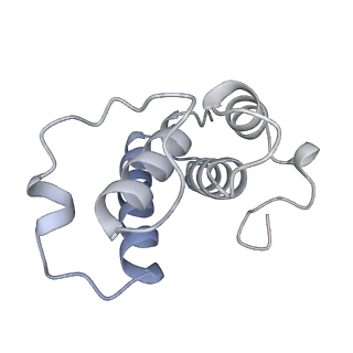 34403_8gzu_Y_v1-0
Cryo-EM structure of Tetrahymena thermophila respiratory Megacomplex MC (IV2+I+III2+II)2