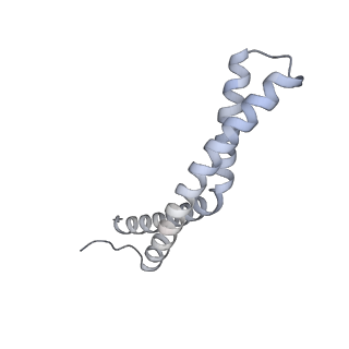 34403_8gzu_Z1_v1-0
Cryo-EM structure of Tetrahymena thermophila respiratory Megacomplex MC (IV2+I+III2+II)2
