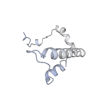 34403_8gzu_Z_v1-0
Cryo-EM structure of Tetrahymena thermophila respiratory Megacomplex MC (IV2+I+III2+II)2