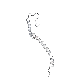 34403_8gzu_a1_v1-0
Cryo-EM structure of Tetrahymena thermophila respiratory Megacomplex MC (IV2+I+III2+II)2