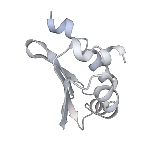 34403_8gzu_a2_v1-0
Cryo-EM structure of Tetrahymena thermophila respiratory Megacomplex MC (IV2+I+III2+II)2