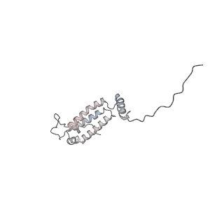 34403_8gzu_a5_v1-0
Cryo-EM structure of Tetrahymena thermophila respiratory Megacomplex MC (IV2+I+III2+II)2