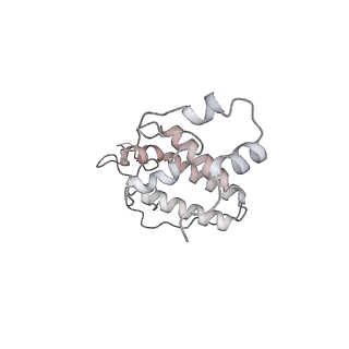 34403_8gzu_a6_v1-0
Cryo-EM structure of Tetrahymena thermophila respiratory Megacomplex MC (IV2+I+III2+II)2