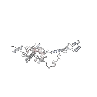 34403_8gzu_a7_v1-0
Cryo-EM structure of Tetrahymena thermophila respiratory Megacomplex MC (IV2+I+III2+II)2