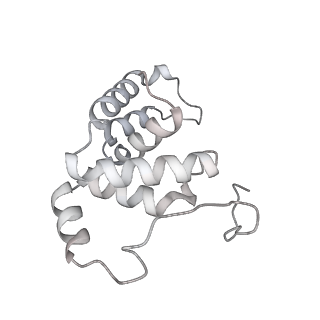 34403_8gzu_a8_v1-0
Cryo-EM structure of Tetrahymena thermophila respiratory Megacomplex MC (IV2+I+III2+II)2