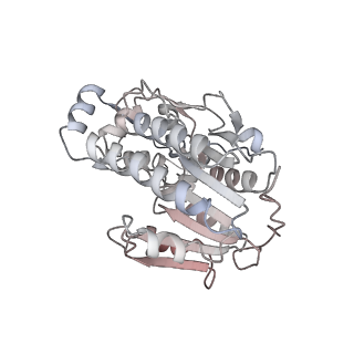 34403_8gzu_a9_v1-0
Cryo-EM structure of Tetrahymena thermophila respiratory Megacomplex MC (IV2+I+III2+II)2