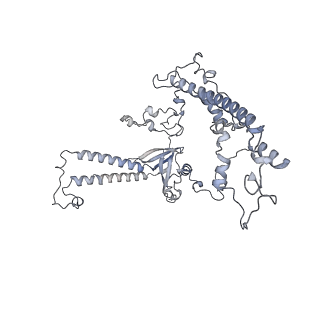 34403_8gzu_a_v1-0
Cryo-EM structure of Tetrahymena thermophila respiratory Megacomplex MC (IV2+I+III2+II)2