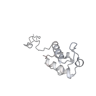 34403_8gzu_ab_v1-0
Cryo-EM structure of Tetrahymena thermophila respiratory Megacomplex MC (IV2+I+III2+II)2