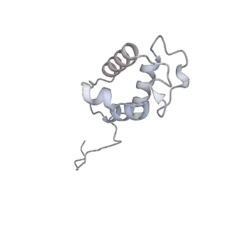 34403_8gzu_ac_v1-0
Cryo-EM structure of Tetrahymena thermophila respiratory Megacomplex MC (IV2+I+III2+II)2
