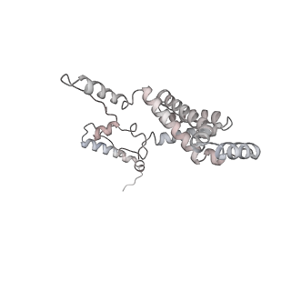34403_8gzu_an_v1-0
Cryo-EM structure of Tetrahymena thermophila respiratory Megacomplex MC (IV2+I+III2+II)2