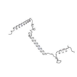 34403_8gzu_b2_v1-0
Cryo-EM structure of Tetrahymena thermophila respiratory Megacomplex MC (IV2+I+III2+II)2
