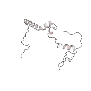 34403_8gzu_b4_v1-0
Cryo-EM structure of Tetrahymena thermophila respiratory Megacomplex MC (IV2+I+III2+II)2