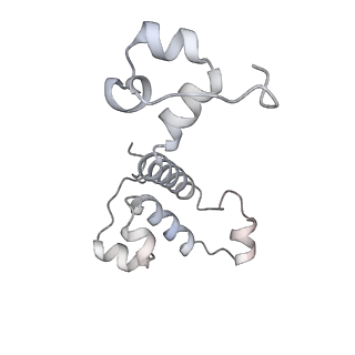 34403_8gzu_b7_v1-0
Cryo-EM structure of Tetrahymena thermophila respiratory Megacomplex MC (IV2+I+III2+II)2