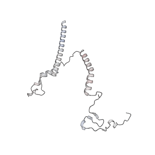 34403_8gzu_b8_v1-0
Cryo-EM structure of Tetrahymena thermophila respiratory Megacomplex MC (IV2+I+III2+II)2
