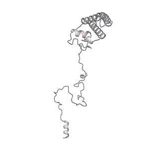 34403_8gzu_b9_v1-0
Cryo-EM structure of Tetrahymena thermophila respiratory Megacomplex MC (IV2+I+III2+II)2