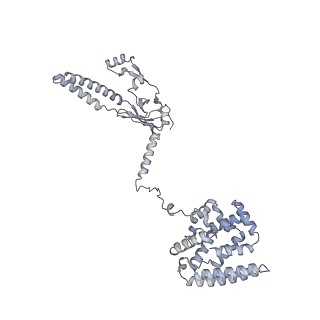 34403_8gzu_b_v1-0
Cryo-EM structure of Tetrahymena thermophila respiratory Megacomplex MC (IV2+I+III2+II)2