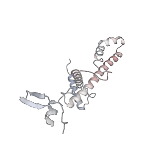 34403_8gzu_bl_v1-0
Cryo-EM structure of Tetrahymena thermophila respiratory Megacomplex MC (IV2+I+III2+II)2