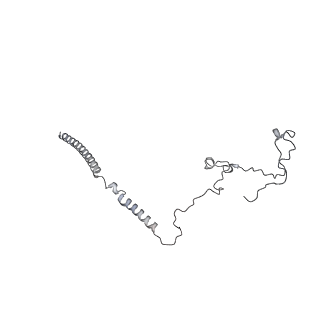 34403_8gzu_bm_v1-0
Cryo-EM structure of Tetrahymena thermophila respiratory Megacomplex MC (IV2+I+III2+II)2