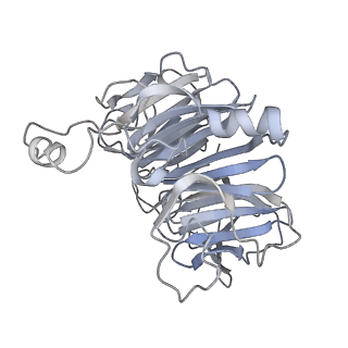 34403_8gzu_bp_v1-0
Cryo-EM structure of Tetrahymena thermophila respiratory Megacomplex MC (IV2+I+III2+II)2