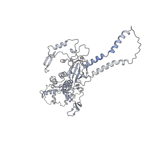 34403_8gzu_c2_v1-0
Cryo-EM structure of Tetrahymena thermophila respiratory Megacomplex MC (IV2+I+III2+II)2
