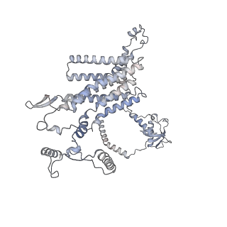 34403_8gzu_c3_v1-0
Cryo-EM structure of Tetrahymena thermophila respiratory Megacomplex MC (IV2+I+III2+II)2
