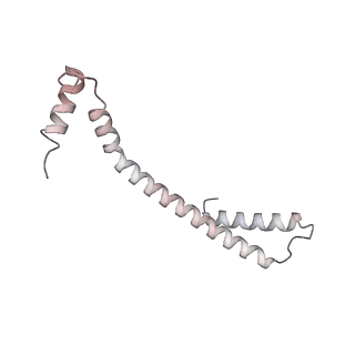 34403_8gzu_c4_v1-0
Cryo-EM structure of Tetrahymena thermophila respiratory Megacomplex MC (IV2+I+III2+II)2