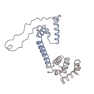 34403_8gzu_c_v1-0
Cryo-EM structure of Tetrahymena thermophila respiratory Megacomplex MC (IV2+I+III2+II)2