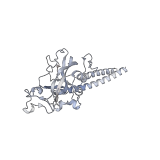 34403_8gzu_d_v1-0
Cryo-EM structure of Tetrahymena thermophila respiratory Megacomplex MC (IV2+I+III2+II)2