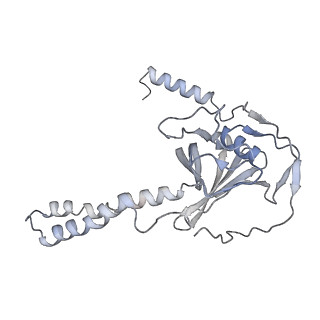 34403_8gzu_f_v1-0
Cryo-EM structure of Tetrahymena thermophila respiratory Megacomplex MC (IV2+I+III2+II)2